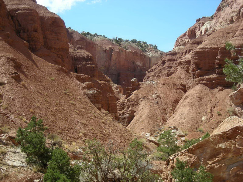 Sulphur Creek side canyon. with permission from eliot_garvin