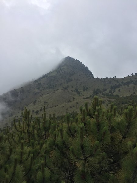 Pico del Aguila