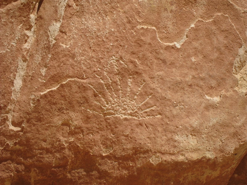 More petroglyphs near the Pioneer Register.