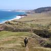 View of Torrey Pines and the shore from the Cherry Canyon Trail.