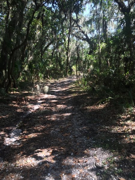 Timucuan Preserve