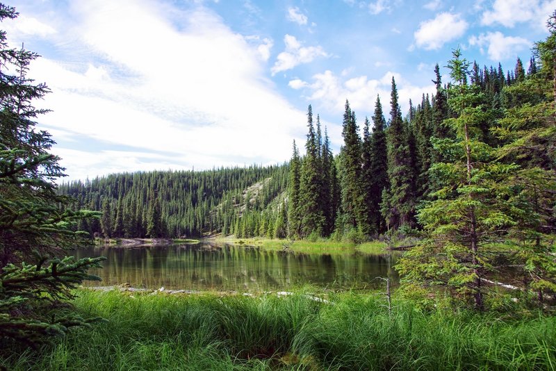 Horseshoe Lake, Denali. with permission from Rumiana Koynova-Tenchova