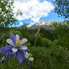 View of Tenmile Peak and Peak 4 from the trail. Roses and Columbine are a plenty here.