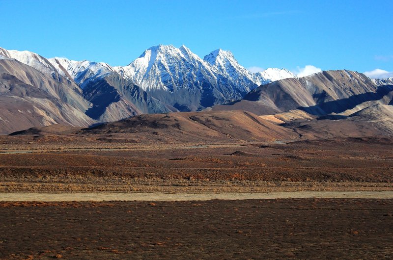 Tundra and mountains in Denali National Park. with permission from David Broome