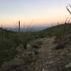 Early morning view from the Gould Mine Trail.