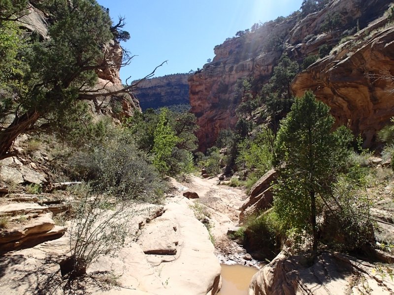 Rough Canyon Trail.