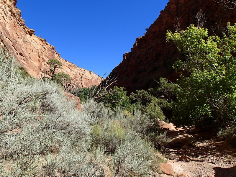 Rough Canyon Trail.