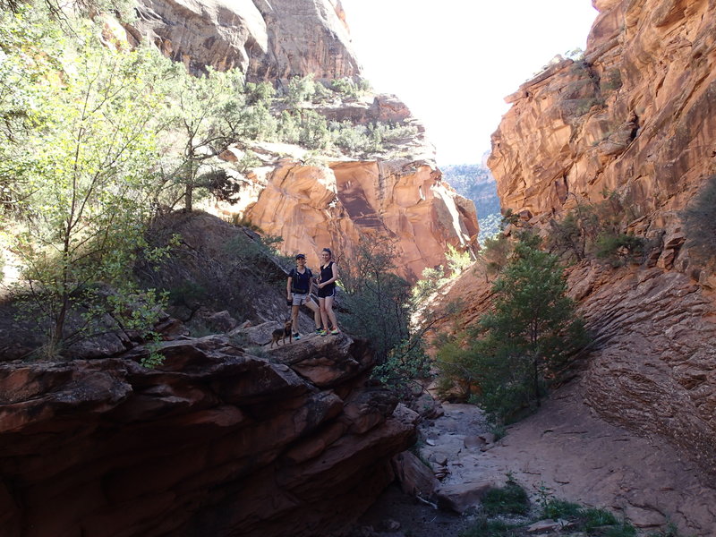 Rough Canyon Trail.