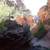 Rough Canyon Trail.