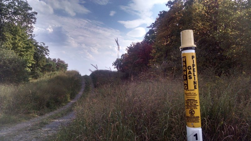 Columbia Gas Pipeline: Appalachian Trail - Fox Gap PA to Columbia Gas Pipeline