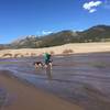 Cooling the puppies off in Mosca Creek.