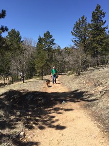Approaching the summit of Mosca Pass Trail.