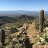 Looking out over Avra Valley with Sierrita Mountains in the (middle) distance. On the far right you can make out Baboquivari.