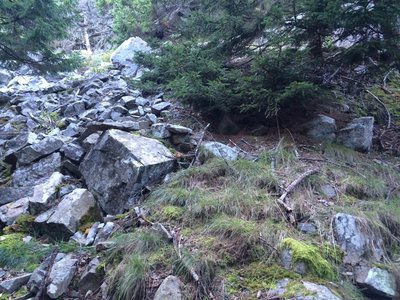 Heading to the peak of Schoodic Head. Photo on Sep 12, 2016.