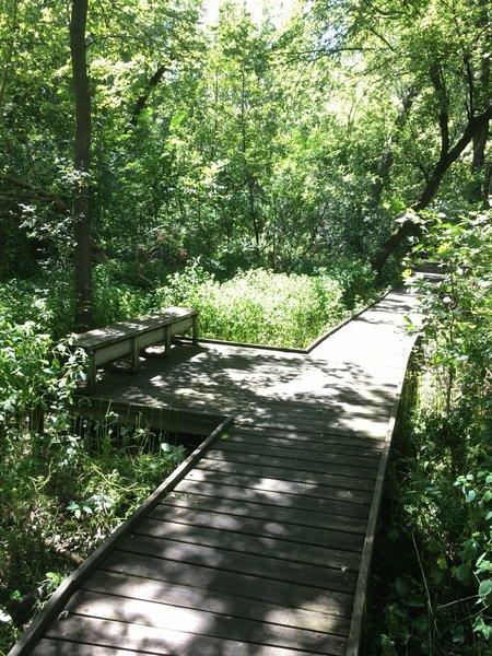 Boardwalk connecting trail takes you right by the creek.