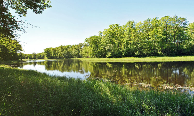 Horseshoe Lake on a lush summer day. with permission from Aaron Carlson