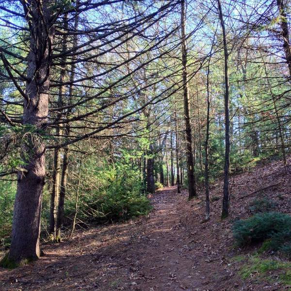 What the trail looks like in the fall.