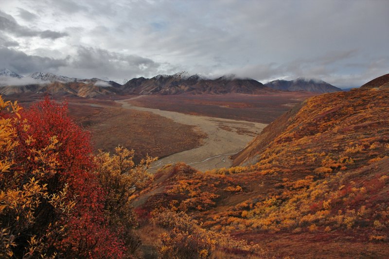 Fall Vista, Polychrome Pass. with permission from David Broome