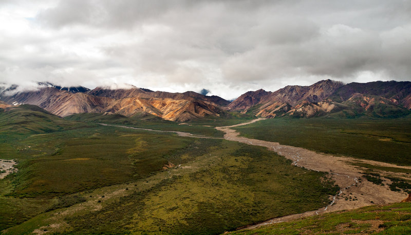 Tolkat River. Denali National Park.