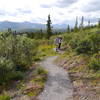 Hiking the Taiga Trail.