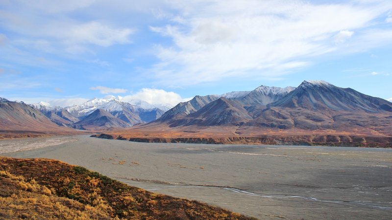 Braided River Vista, Denali National Park. with permission from David Broome