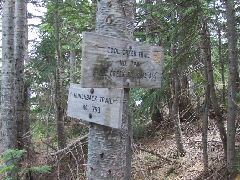 Cool Creek Trail #794 junction with Hunchback Trail #793. Devil's Peak Lookout is west a short distance. Photo by USFS