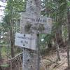 Cool Creek Trail #794 junction with Hunchback Trail #793. Devil's Peak Lookout is west a short distance. Photo by USFS