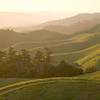 Bolinas Ridge.