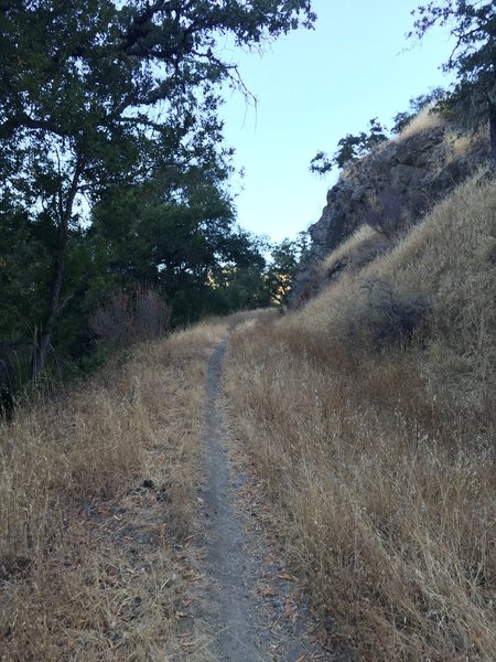 Grapevine Trail.