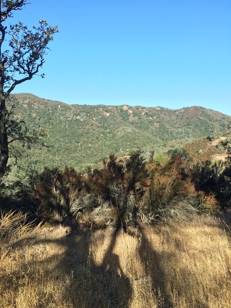 Grapevine Trail lookout view.