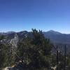 Views of Mt Charleston and the Sprong Mountains from the Peak!