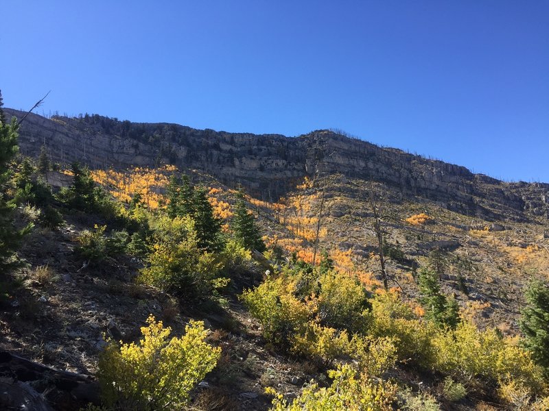 Fall colors on the way up.