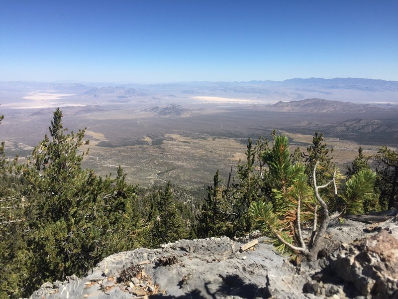 Views from the ridgeline of Cold Creek Canyon.