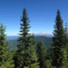 View of Mt. Hood and Mt. Adams from the old lookout at the top of Wildcat Mountain.