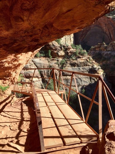 On Zion NP Canyon Overlook Trail.