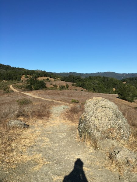 Top of the ridge on Merry-Go-Round Trail.