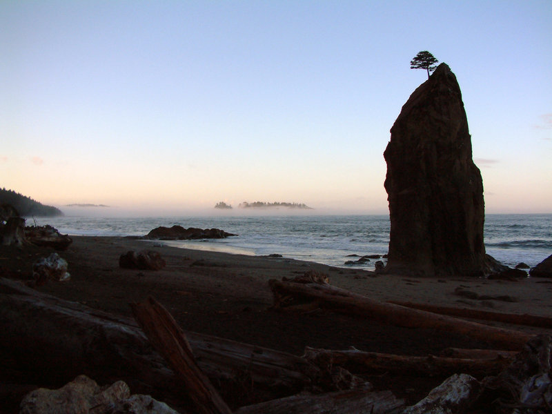 Rialto Beach Haystacks in evening fog.