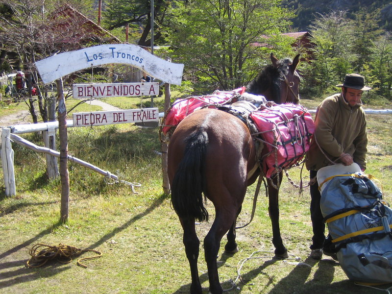 At Piedra del Fraile camp, horses can be used to help ferry in expedition supplies.