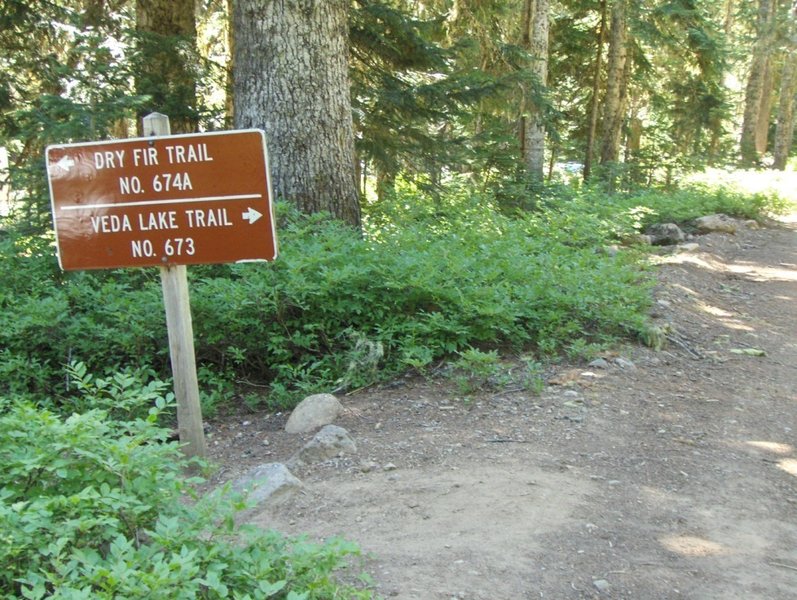 Dry Fir Trailhead. Photo by USFS.