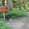 Dry Fir Trailhead. Photo by USFS.