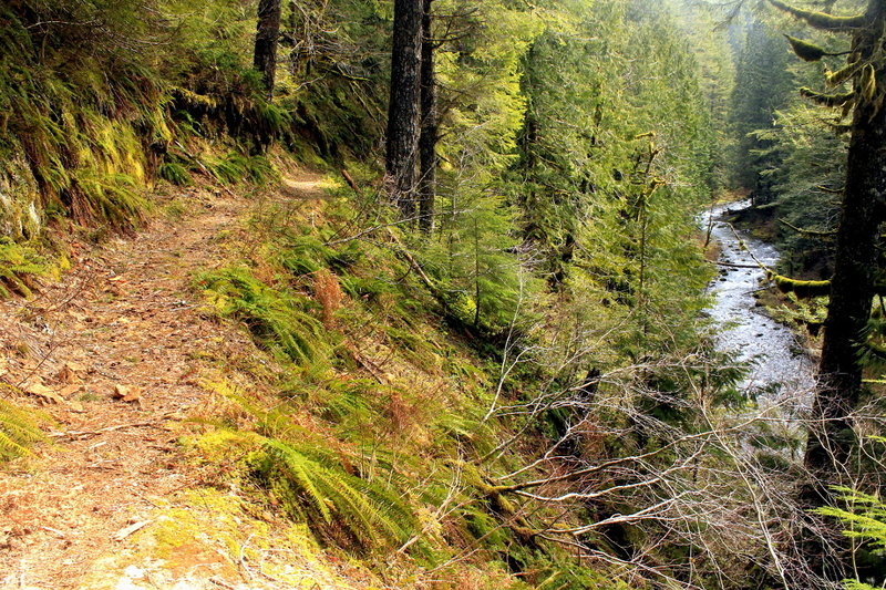 The beginning of the trail with views of Eagle Creek.