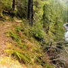 The beginning of the trail with views of Eagle Creek.