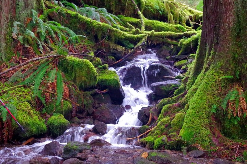 The trail has several smaller creek crossings that cross the trail. Photo by Gene Blick