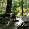 Mr. Cole checks out the rocks near Lovers Leap.