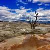 Mammoth Hot Spring.