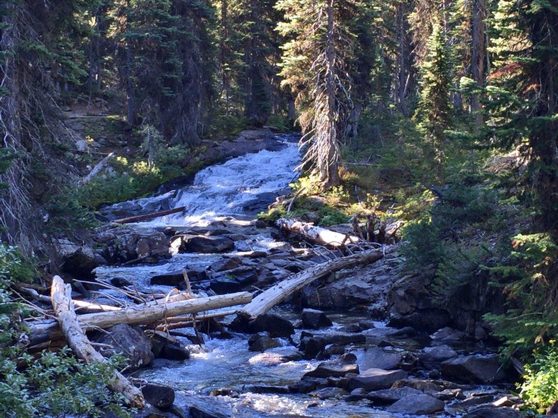 West Fork Lostine River.