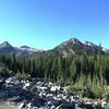 On the West Fork Lostine River Trail.