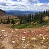 Looking back from the Jewel Lake Trail.