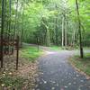 North & South Mercer Lake Loop Trails intersection. Keep left to follow South Trail. You'll return on the North Trail.