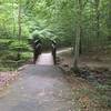 Narrow bridge for stream crossing to south side of South Run. Turn left after crossing bridge to stay on main trail.